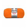 Fio Hobby 100g - Circulo - 12